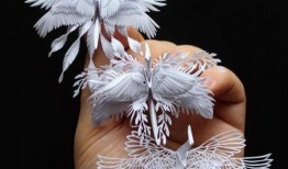 千纸鹤最新爆料图片,神秘图片揭示惊人内幕